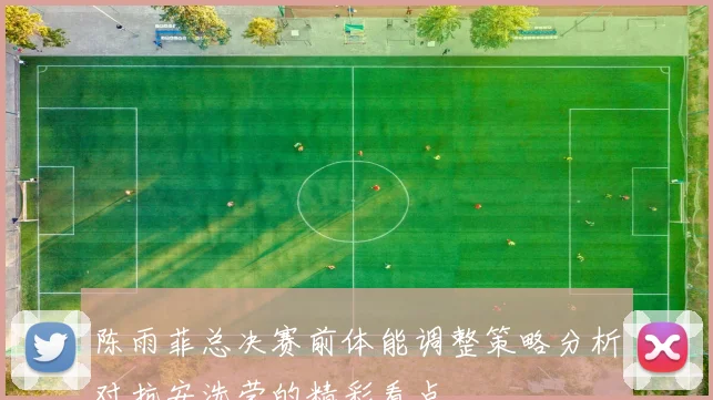 陈雨菲总决赛前体能调整策略分析对抗安洗莹的精彩看点